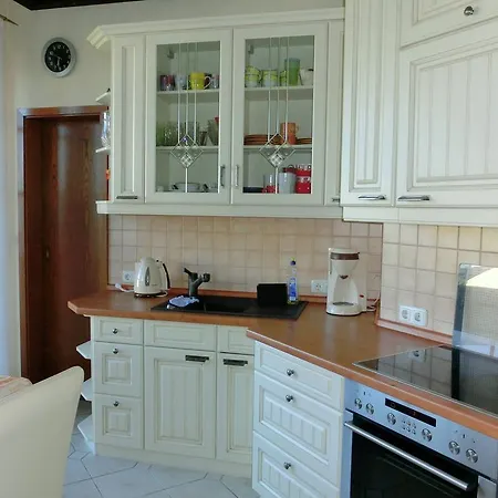Spacious With Private Swimming Pool Ballenstedt